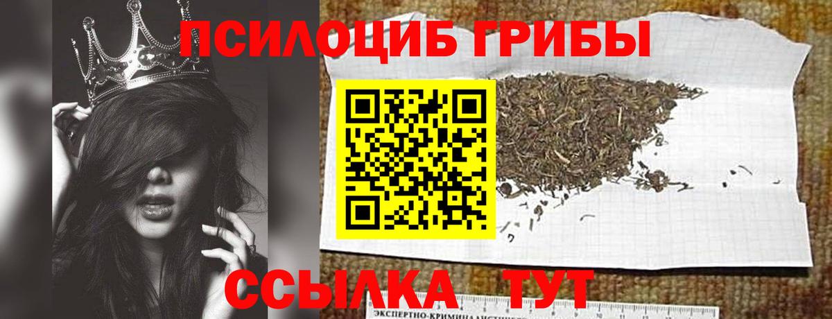 Галлюциногенные грибы мицелий  Вход с VPN  Ефремов 