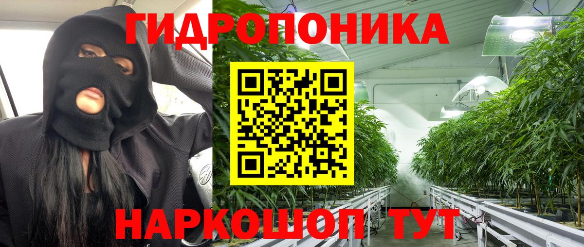 Шишки марихуана конопля Ефремов
